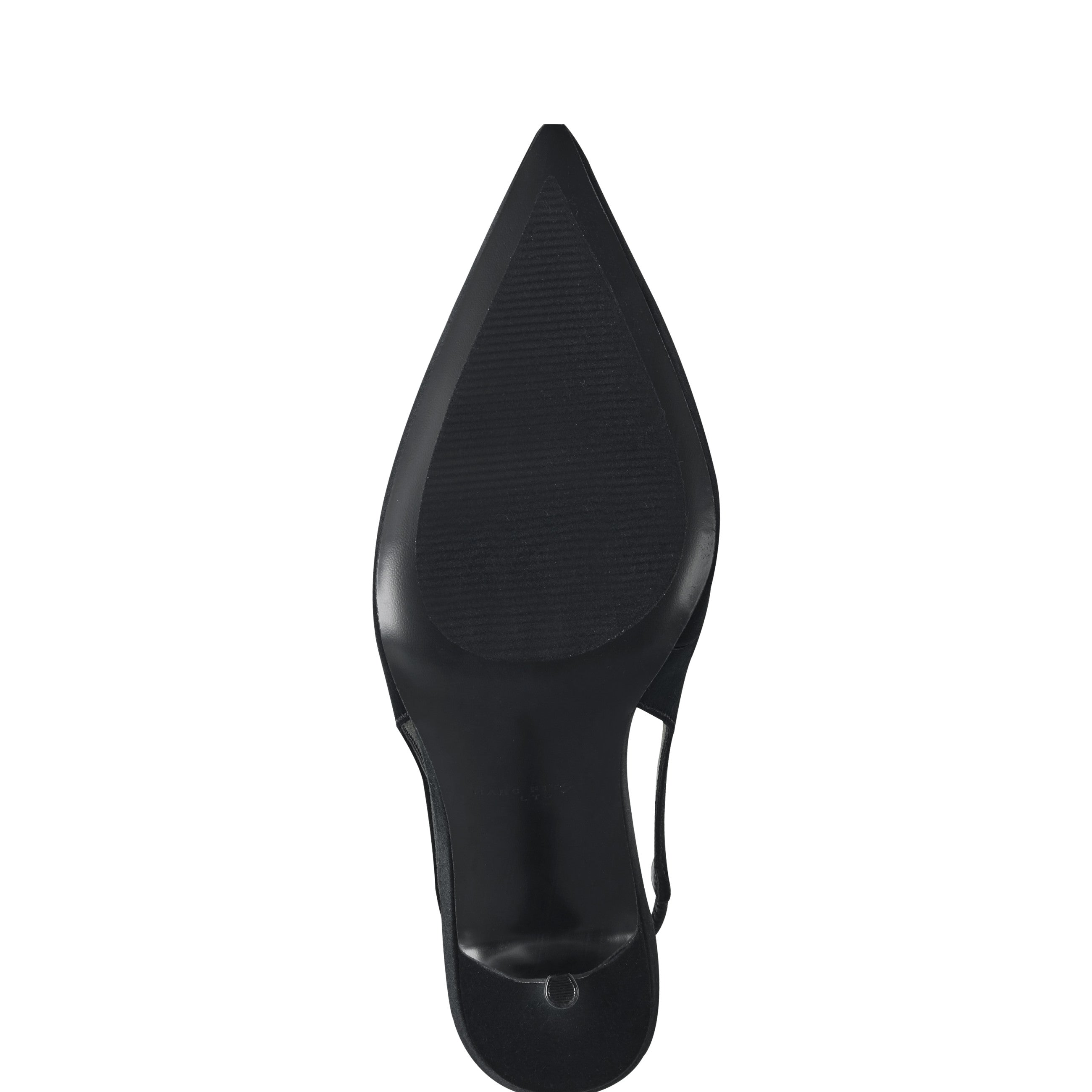 Leynne Pointy Toe Dress Slingback Pumps