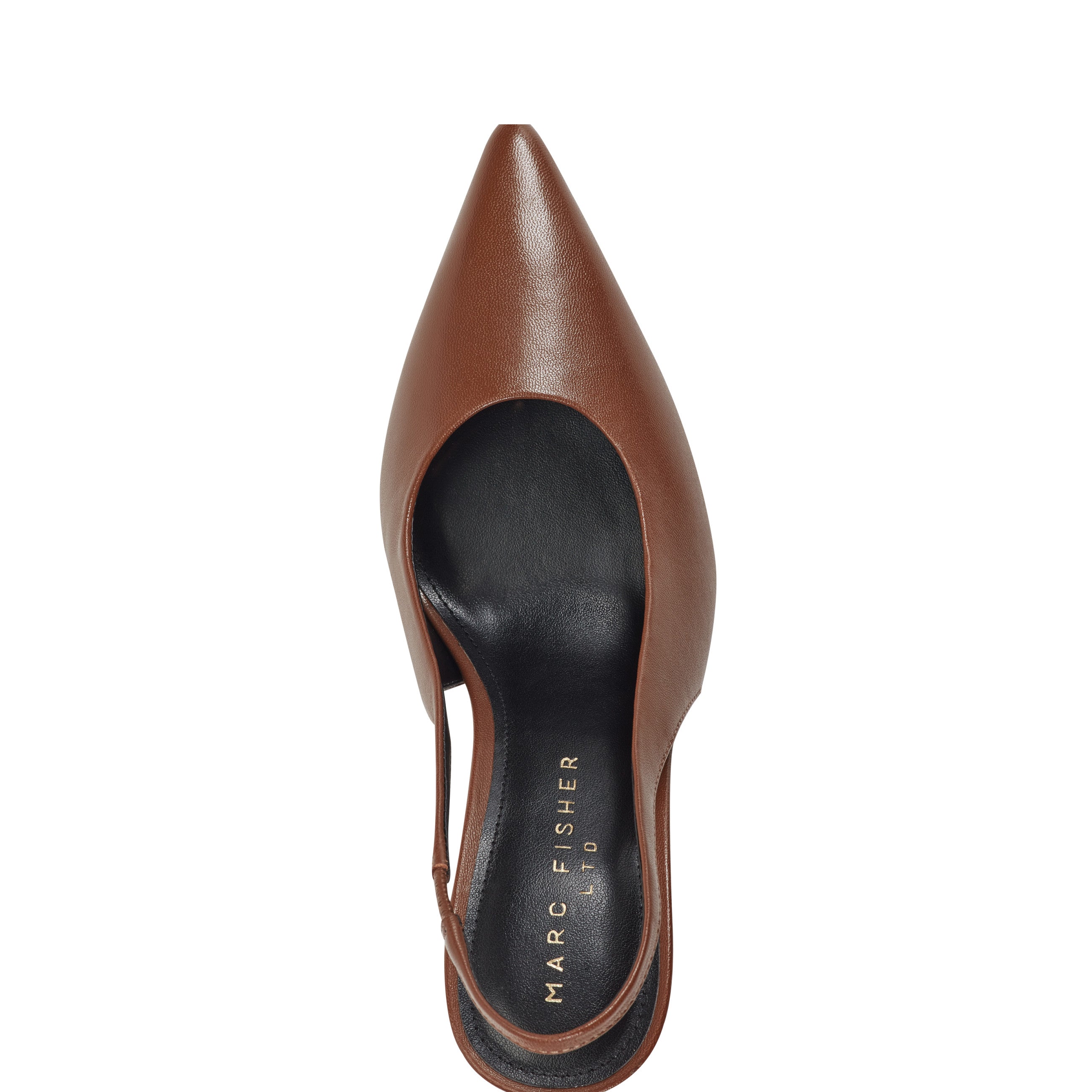 Leynne Pointy Toe Dress Slingback Pumps