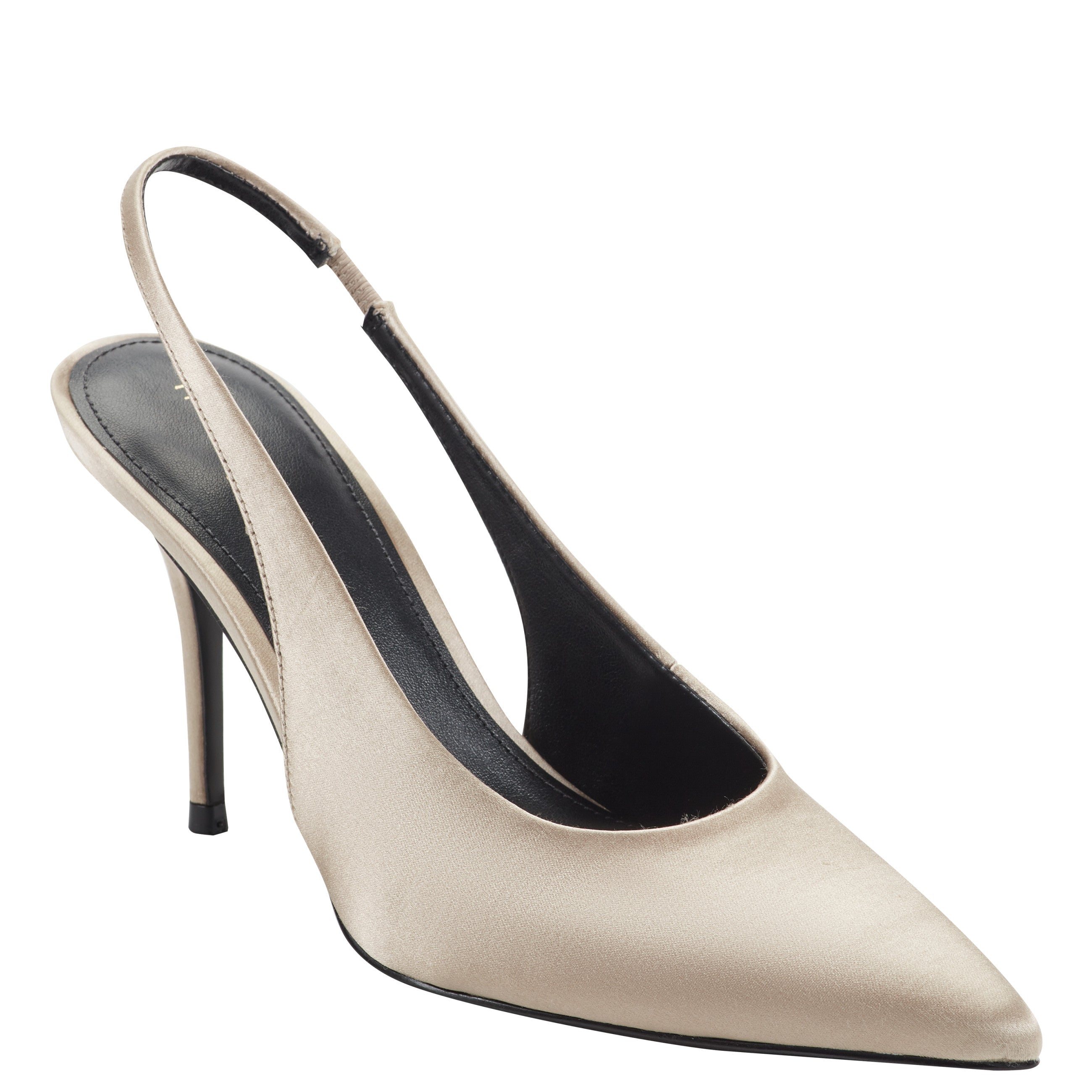 Leynne Pointy Toe Dress Slingback Pumps