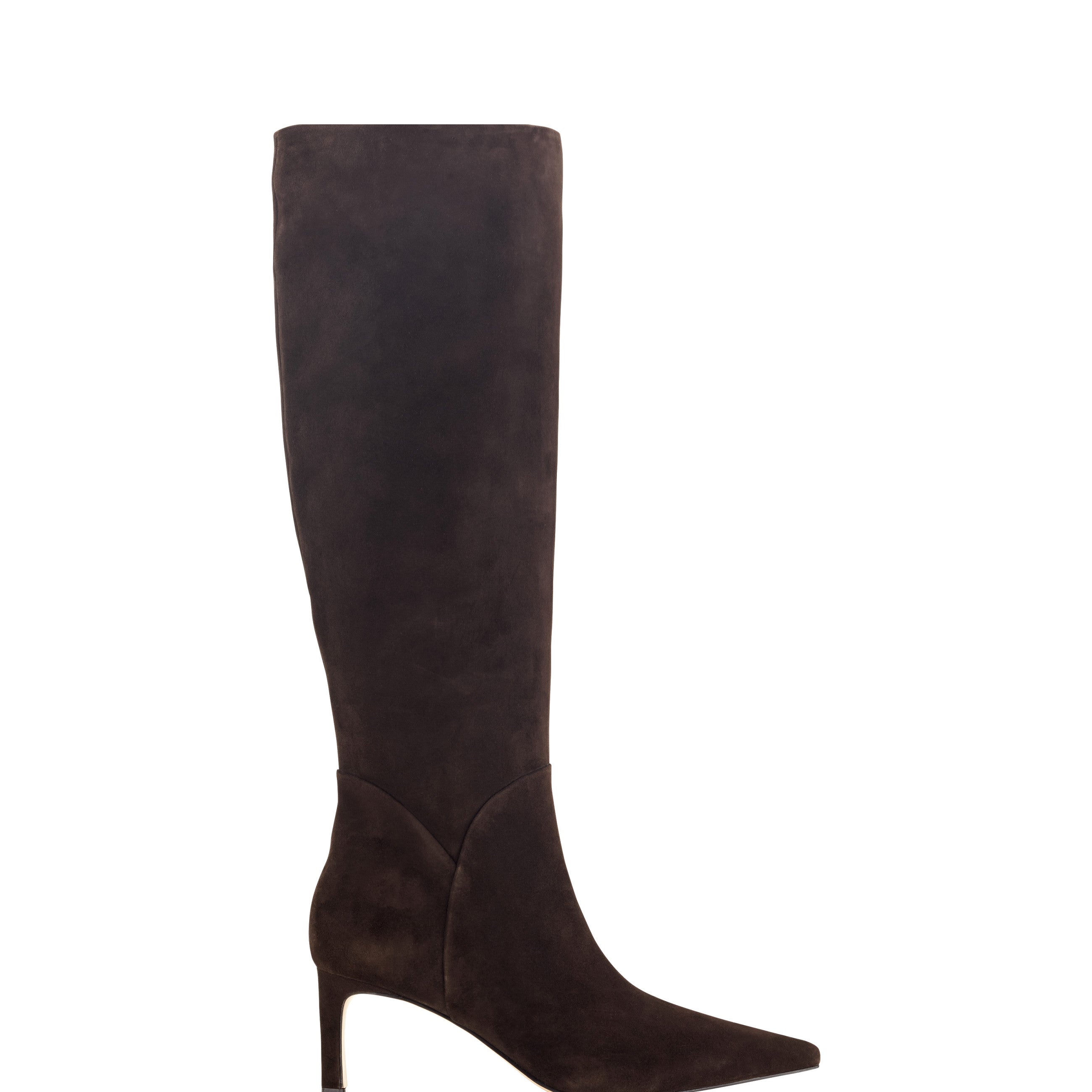 Sabrina Pointy Toe Dress Boots