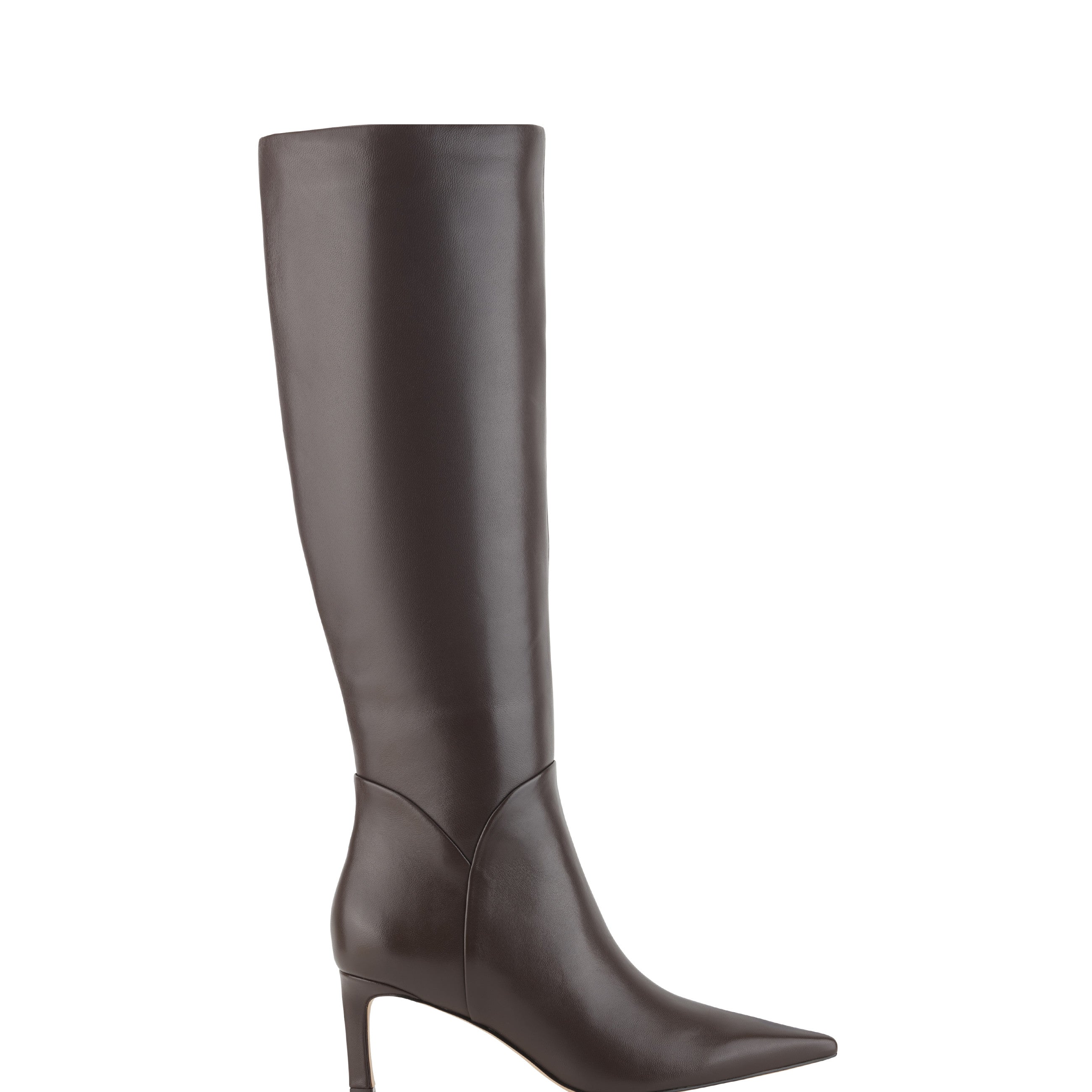 Sabrina Pointy Toe Dress Boots