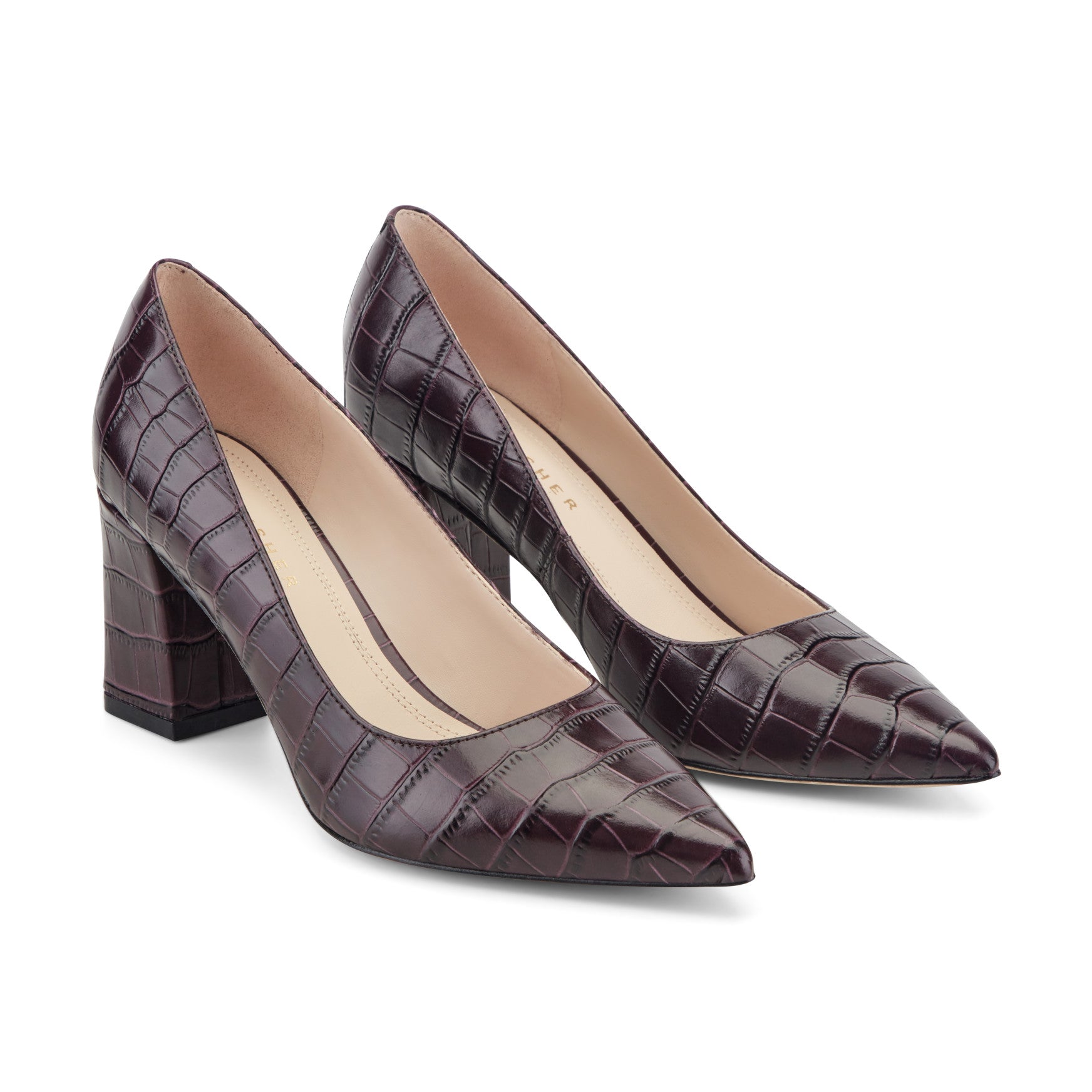 Zala Block Heel Pointy Toe Pump