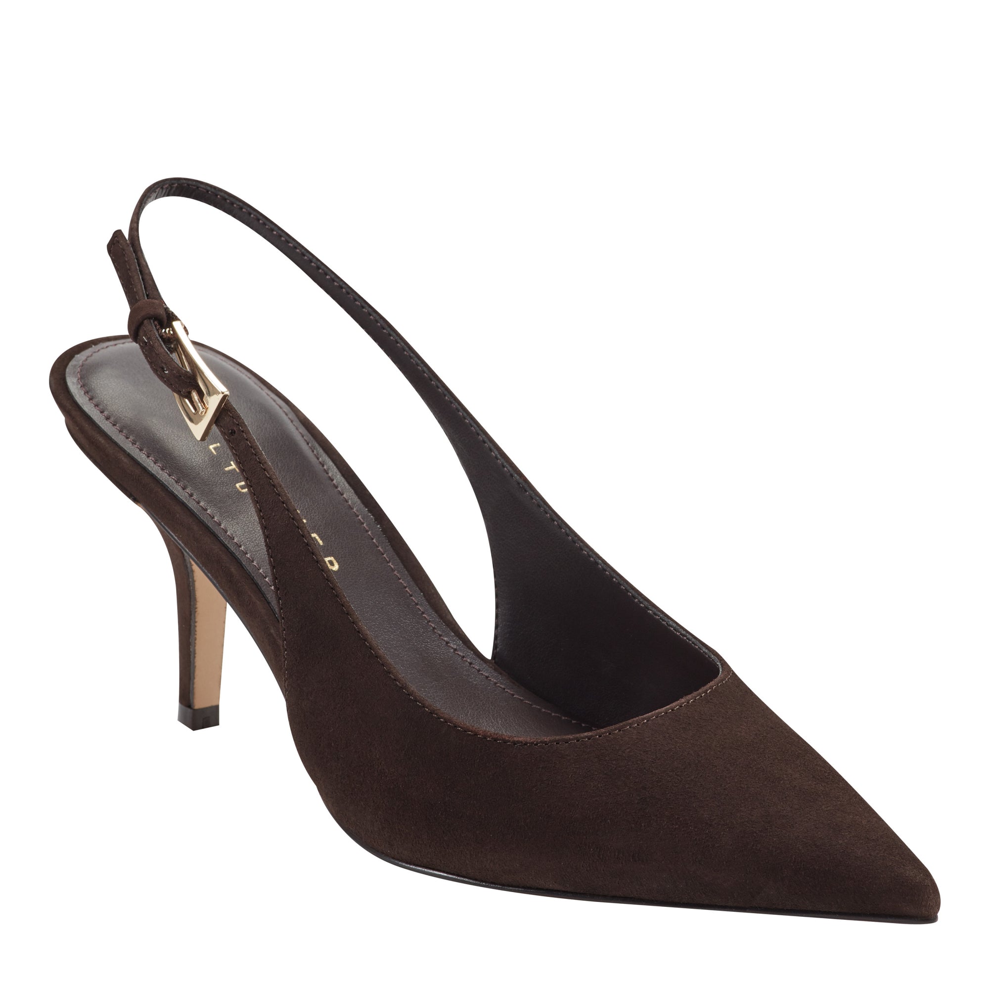 Dorie Pointy Toe Dress Slingback Pumps