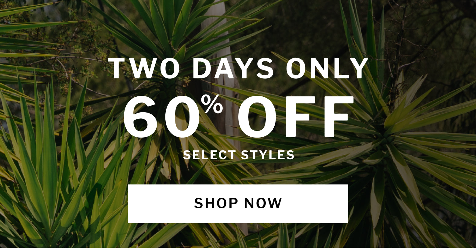 Promotional banner featuring 60% off select styles