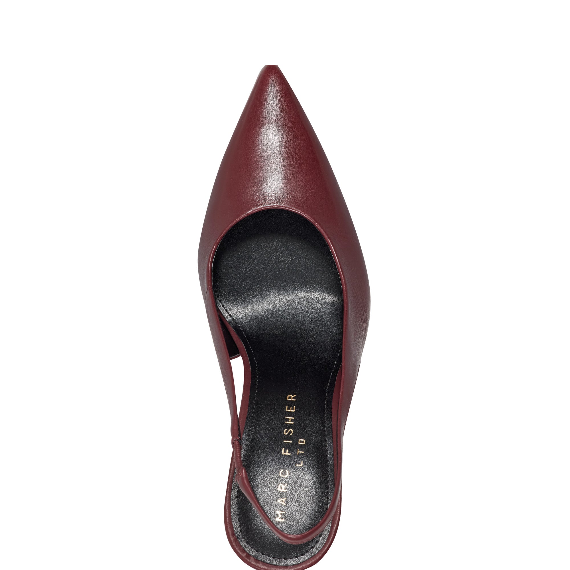 Leynne Pointy Toe Dress Slingback Pumps