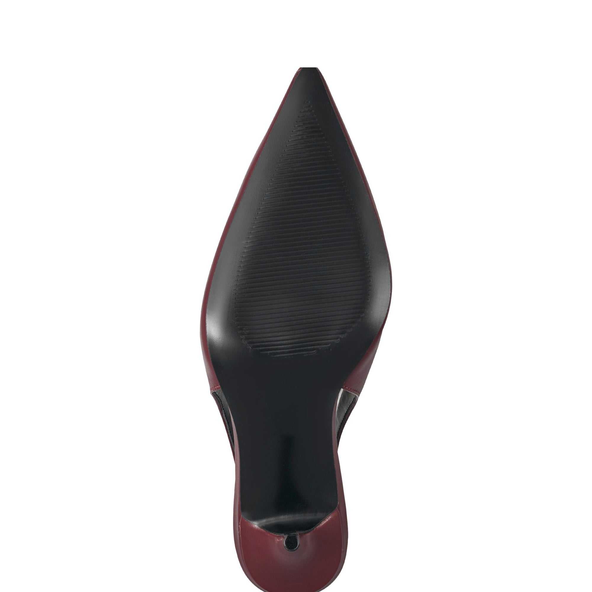 Leynne Pointy Toe Dress Slingback Pumps