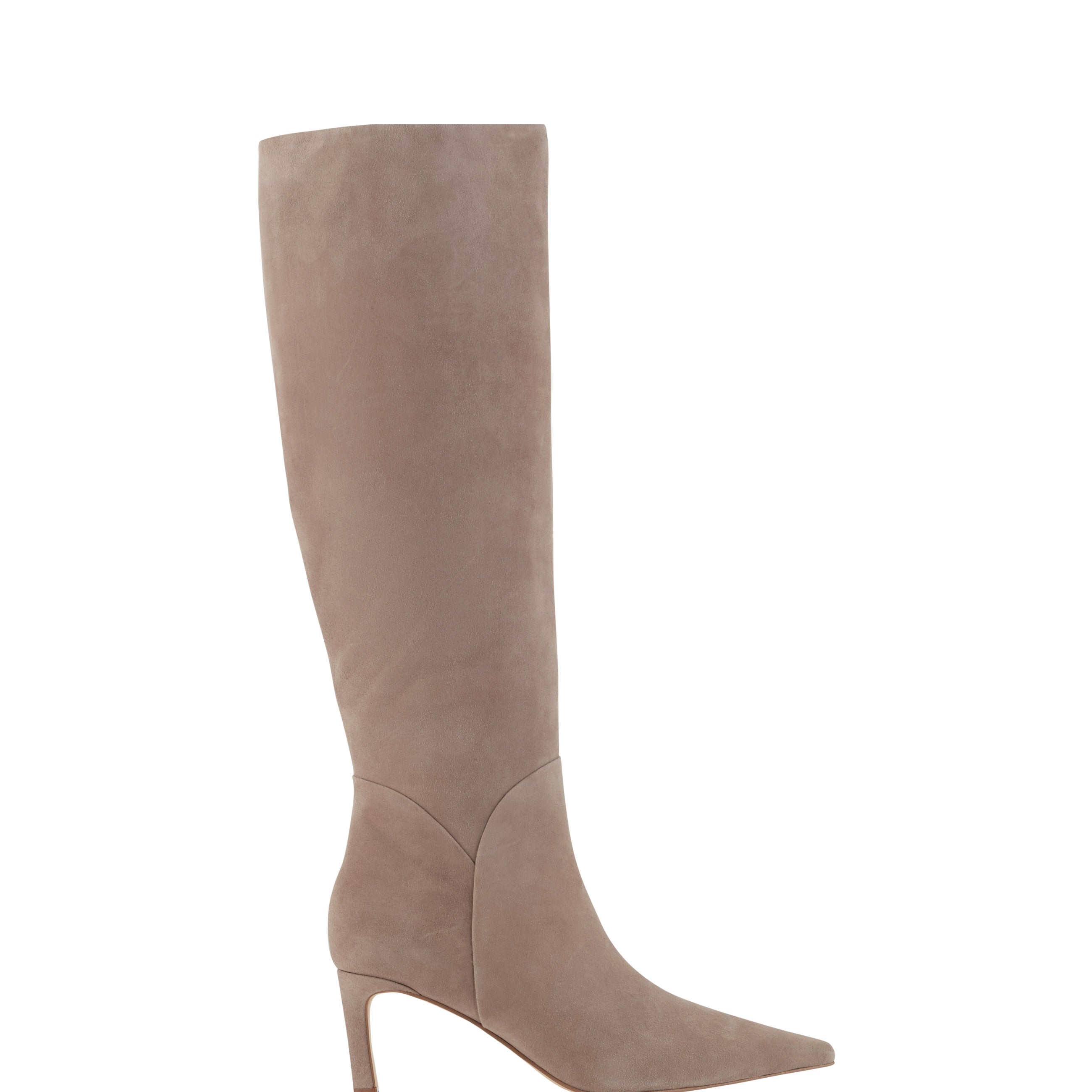 Sabrina Pointy Toe Dress Boots