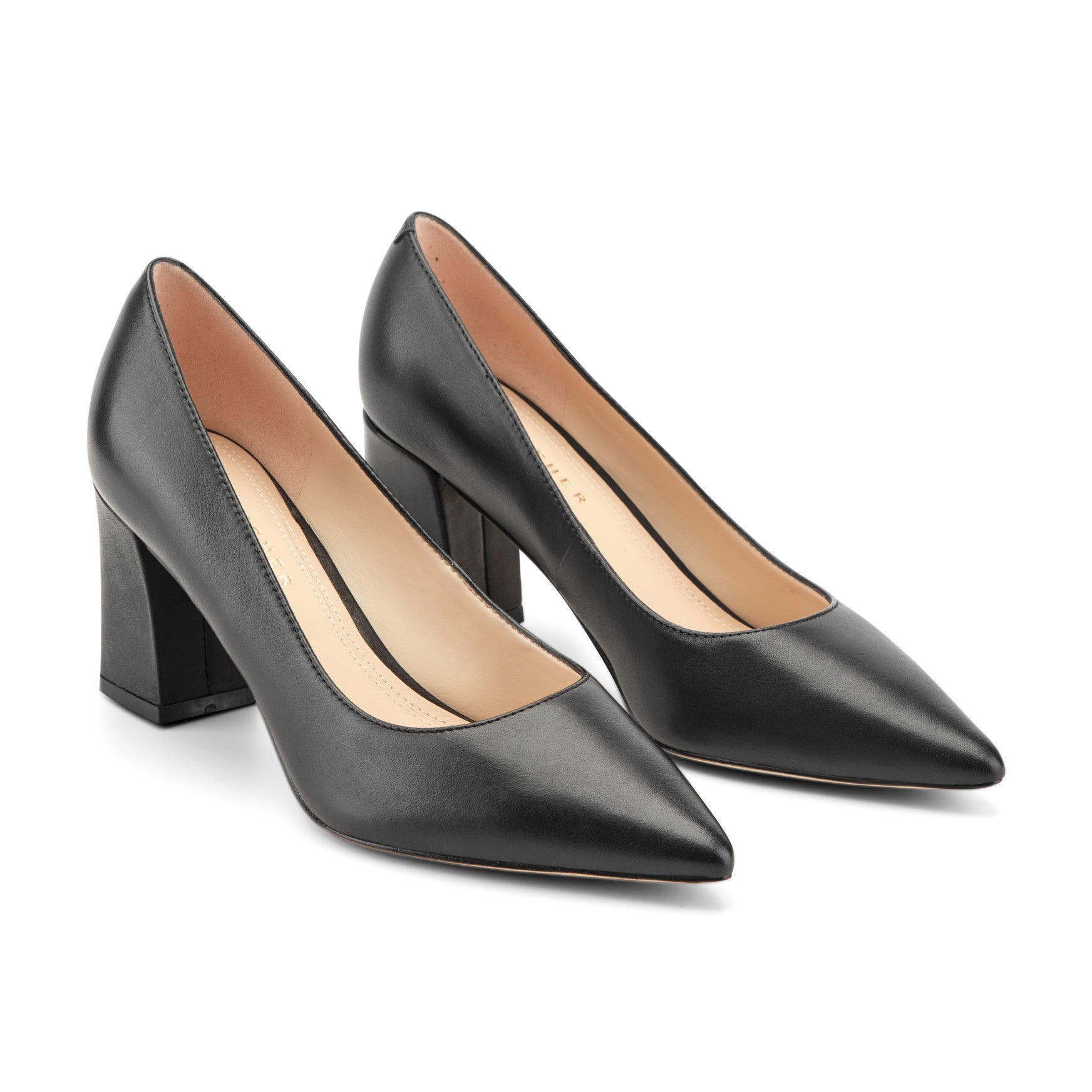 Women's Zala Block Heel Pointy Toe Pump - Black Leather | Marc